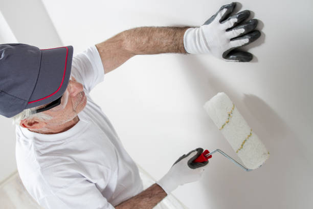 Trusted Leisure City, FL Mold Removal Experts