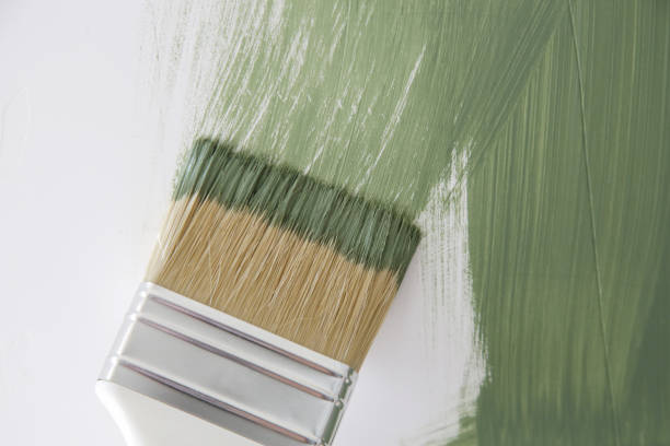 Best Mold Remediation for Healthcare Facilities  in Leisure City, FL