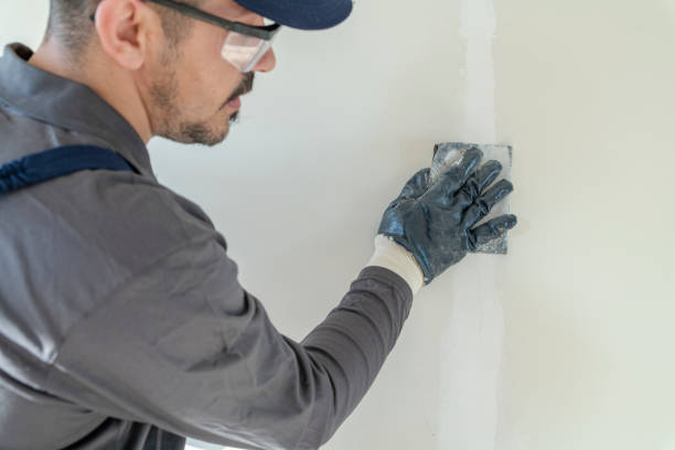 Best Commercial Mold Inspection  in Leisure City, FL
