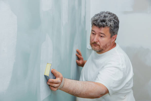 Best Crawl Space Mold Remediation  in Leisure City, FL