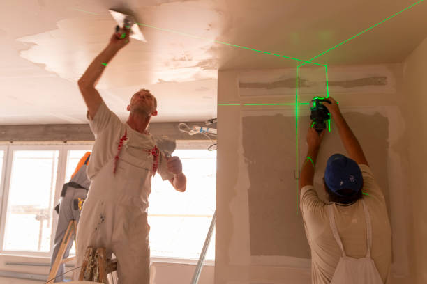 Best Emergency Mold Remediation  in Leisure City, FL