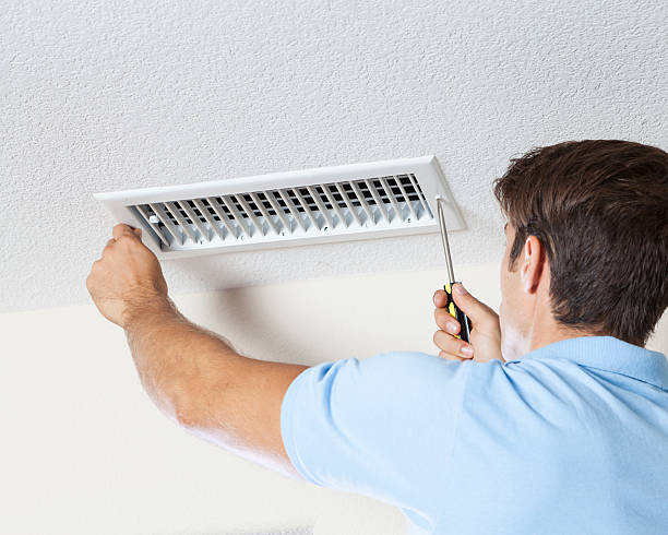  Leisure City, FL Mold Removal Pros
