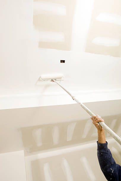 Best Attic Mold Removal  in Leisure City, FL